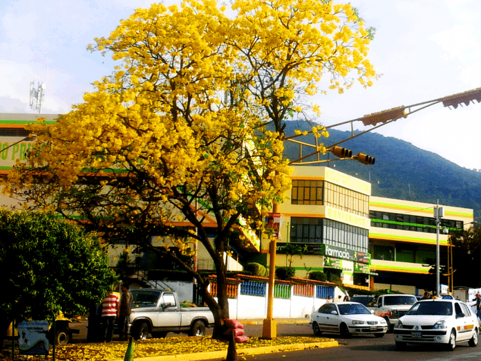 Mercado Principal de Mérida