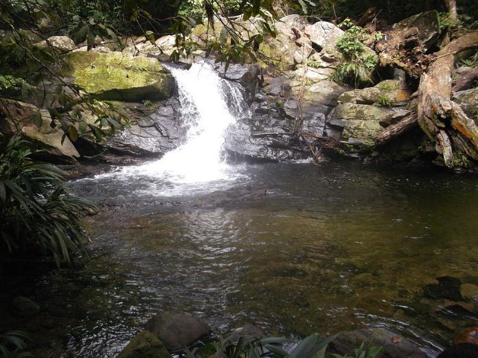 Pozo El Paují, Parque Nacional San Esteban