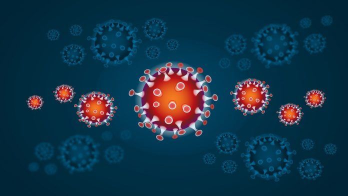 6 nuevos casos confirmados de coronavirus COVID-19