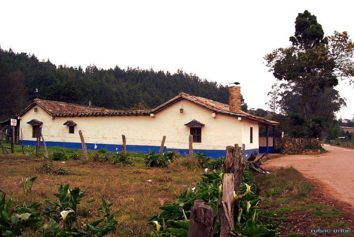 Por la vía al páramo El Zumbador