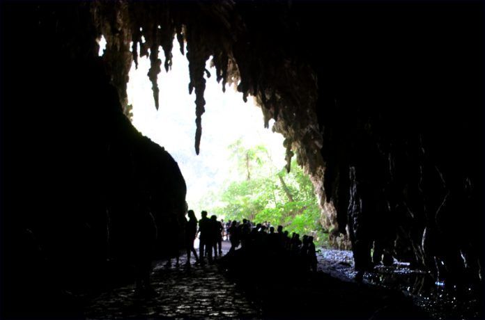 La Cueva del Guácharo
