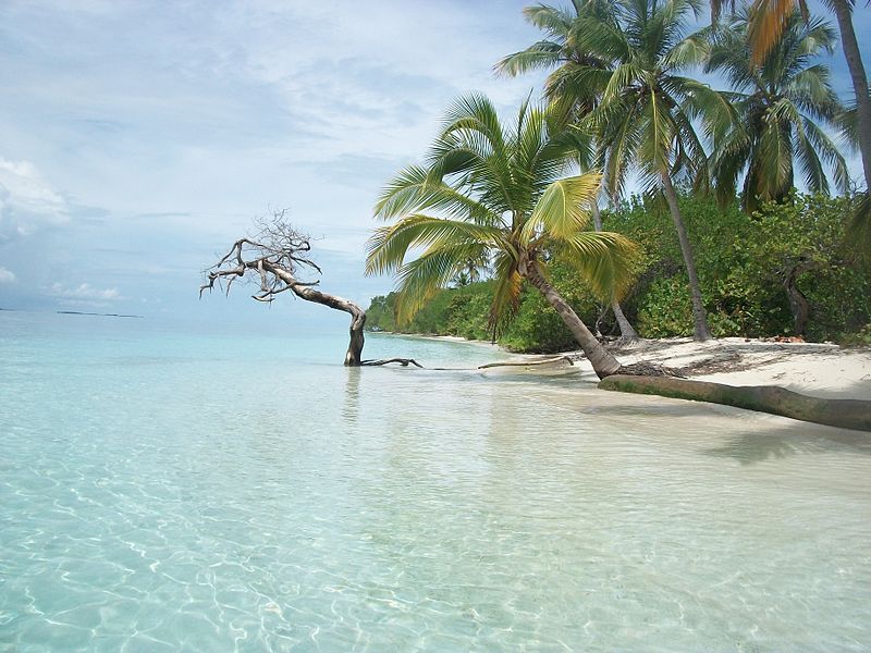 La naturaleza en Cayo Sombrero