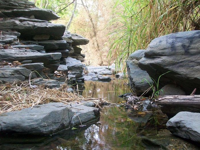 Parque Nacional Henri Pittier