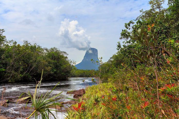 El Cerro Autana desde el Caño Zorro