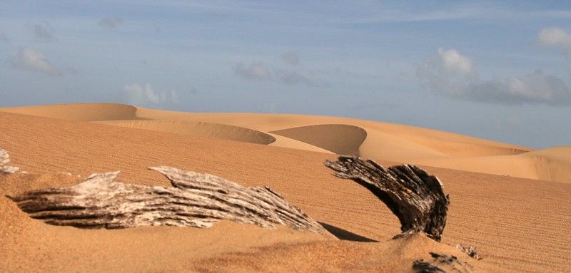 El Parque Nacional Médanos de Coro