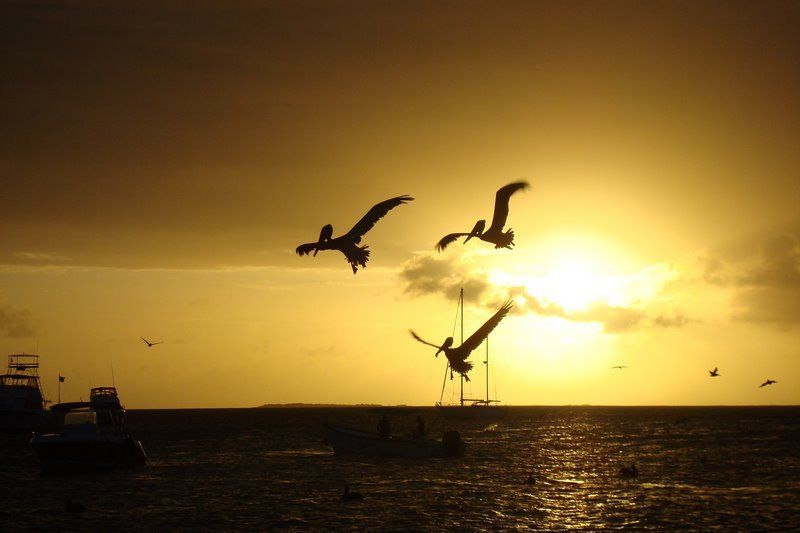 Atardecer en Los Roques