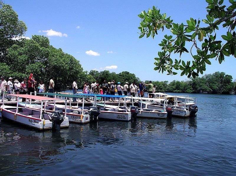 Embarcadero en la Laguna de La Restinga