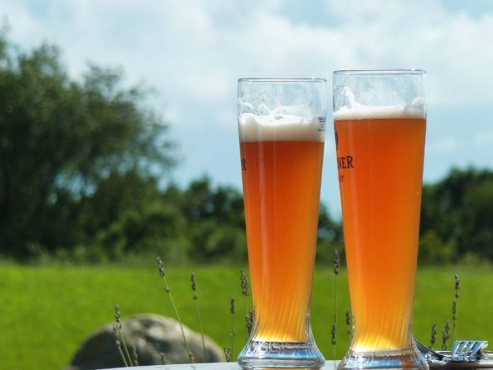 Día de la Cerveza