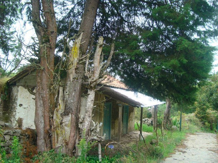 Paisaje de los alrededores de La Grita