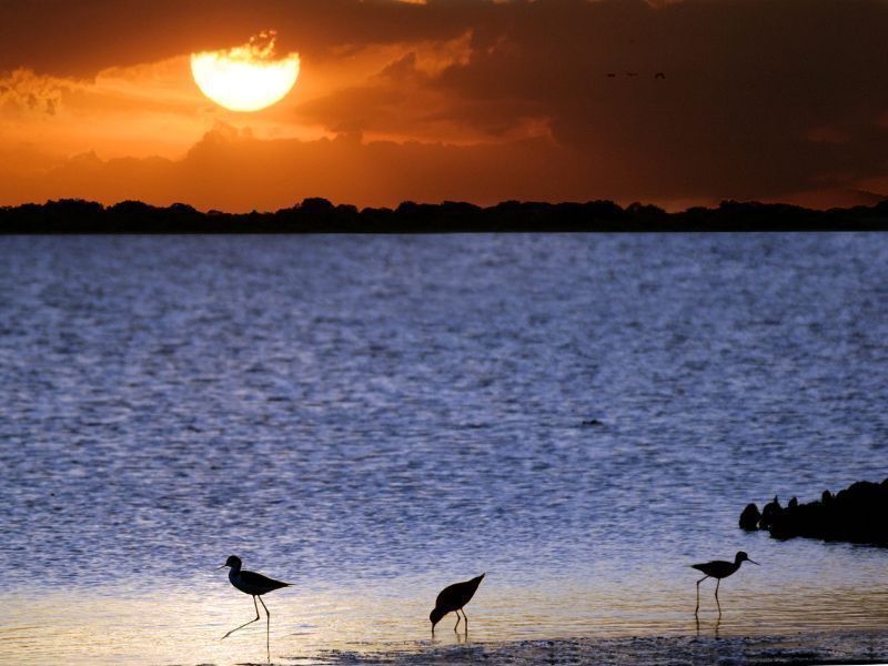 Amanecer en el llano