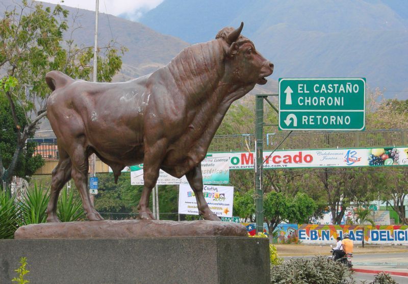 El Toro de Las Delicias
